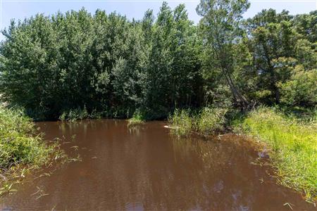 False - Farm For Sale in Stilbaai Rural, Stilbaai, Western Cape - M125905