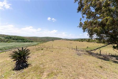 False - Farm For Sale in Stilbaai Rural, Stilbaai, Western Cape - M125905