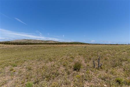 False - Farm For Sale in Stilbaai Rural, Stilbaai, Western Cape - M125905