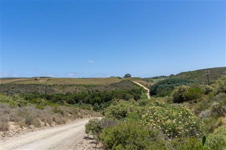 False - Farm For Sale in Stilbaai Rural, Stilbaai, Western Cape - M125905