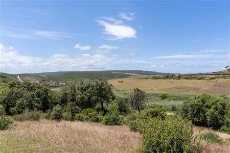 False - Farm For Sale in Stilbaai Rural, Stilbaai, Western Cape - M125905