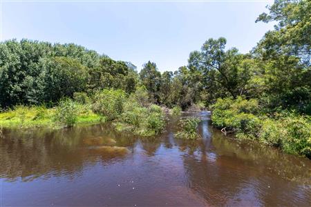 False - Farm For Sale in Stilbaai Rural, Stilbaai, Western Cape - M125905