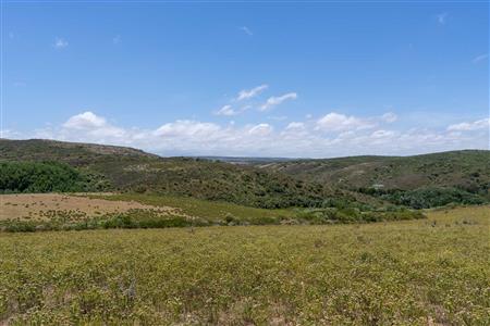 False - Farm For Sale in Stilbaai Rural, Stilbaai, Western Cape - M125905