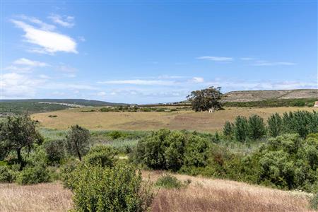 False - Farm For Sale in Stilbaai Rural, Stilbaai, Western Cape - M125905