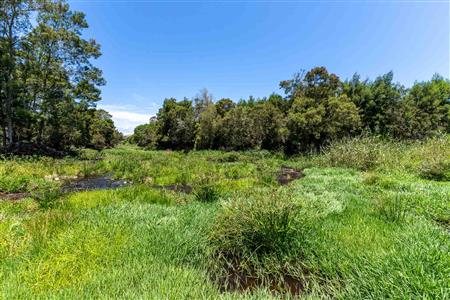 False - Farm For Sale in Stilbaai Rural, Stilbaai, Western Cape - M125905