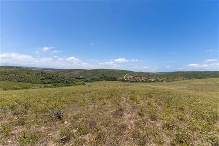 False - Farm For Sale in Stilbaai Rural, Stilbaai, Western Cape - M125905