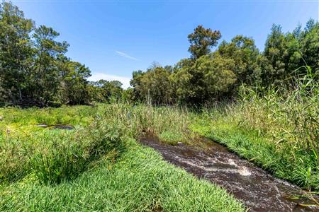 False - Farm For Sale in Stilbaai Rural, Stilbaai, Western Cape - M125905