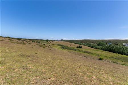 False - Farm For Sale in Stilbaai Rural, Stilbaai, Western Cape - M125905
