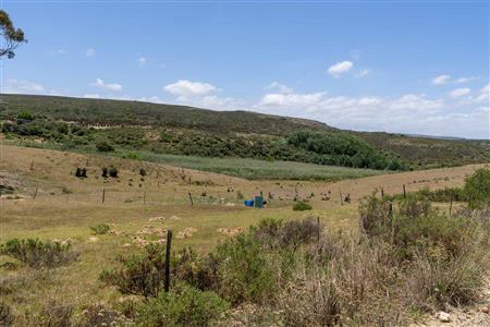 False - Farm For Sale in Stilbaai Rural, Stilbaai, Western Cape - M125905