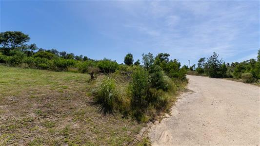 False - Vacant Land For Sale in Fisher Haven, Knysna, Western Cape - M125962