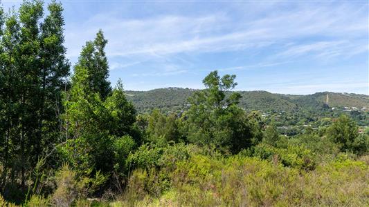 False - Vacant Land For Sale in Fisher Haven, Knysna, Western Cape - M125962