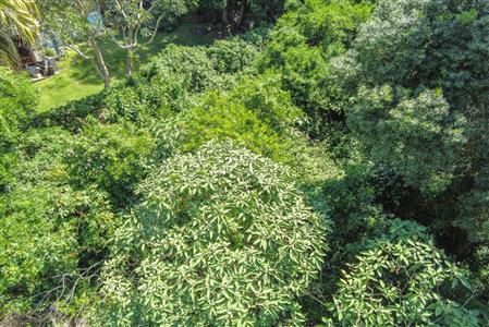 False - Vacant Land For Sale in Vincent Heights, East London, Eastern Cape - M125973