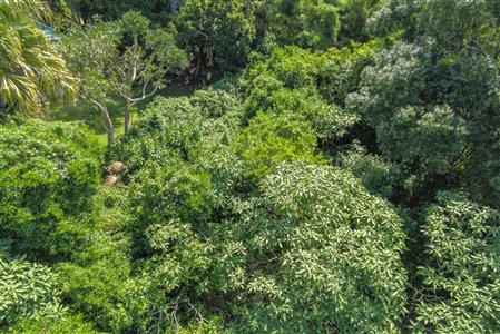 False - Vacant Land For Sale in Vincent Heights, East London, Eastern Cape - M125973