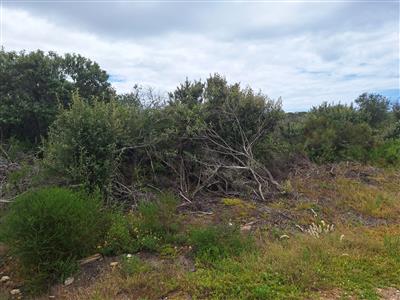 False - Vacant Land For Sale in Plettenberg Bay, Western Cape - M125982