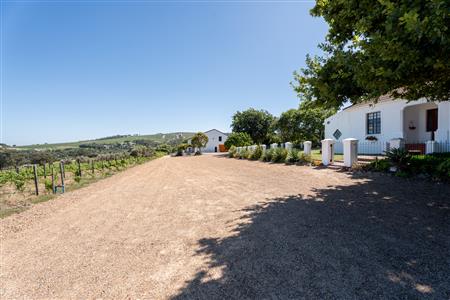 False - Farm For Sale in Stellenbosch Farms, Stellenbosch, Western Cape - M126007