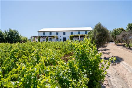 False - Farm For Sale in Stellenbosch Farms, Stellenbosch, Western Cape - M126007