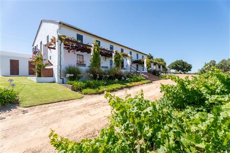 False - Farm For Sale in Stellenbosch Farms, Stellenbosch, Western Cape - M126007