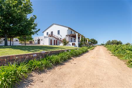False - Farm For Sale in Stellenbosch Farms, Stellenbosch, Western Cape - M126007