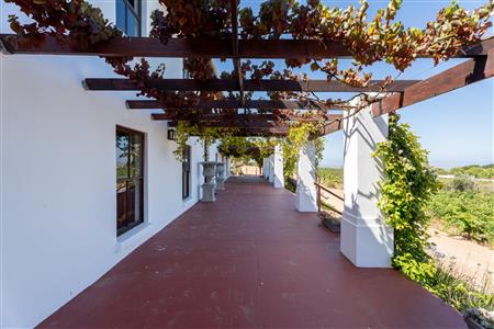 False - Farm For Sale in Stellenbosch Farms, Stellenbosch, Western Cape - M126007