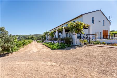 False - Farm For Sale in Stellenbosch Farms, Stellenbosch, Western Cape - M126007