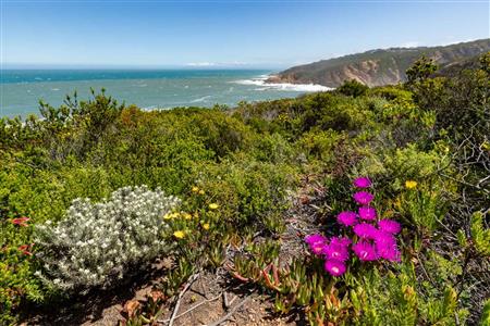 False - Vacant Land Sold in Le Grand Estate, George, Western Cape - M10368