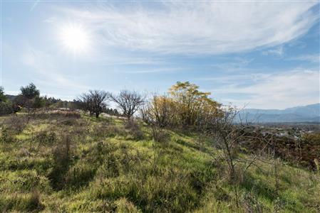 False - Vacant Land For Sale in Pniel, Stellenbosch, Western Cape - M12351
