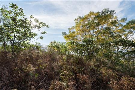 False - Vacant Land For Sale in Pniel, Stellenbosch, Western Cape - M12351