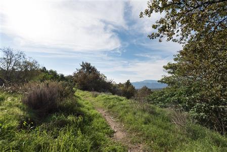 False - Vacant Land For Sale in Pniel, Stellenbosch, Western Cape - M12351