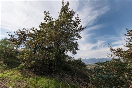 False - Vacant Land For Sale in Pniel, Stellenbosch, Western Cape - M12351