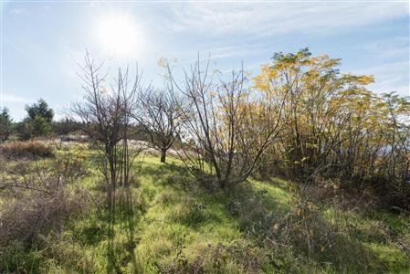 False - Vacant Land For Sale in Pniel, Stellenbosch, Western Cape - M12351