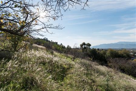 False - Vacant Land For Sale in Pniel, Stellenbosch, Western Cape - M12351