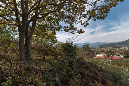 False - Vacant Land For Sale in Pniel, Stellenbosch, Western Cape - M12351