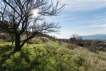 False - Vacant Land For Sale in Pniel, Stellenbosch, Western Cape - M12351