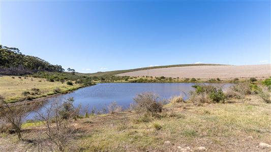 False - Farm For Sale in Riversdale Rural, Riversdale, Western Cape - M126214