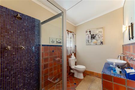 False - Farm For Sale in Riversdale Rural, Riversdale, Western Cape - M126214