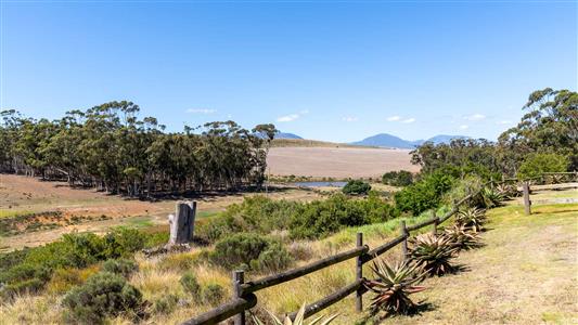 False - Farm For Sale in Riversdale Rural, Riversdale, Western Cape - M126214