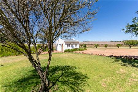 False - Farm For Sale in Riversdale Rural, Riversdale, Western Cape - M126214