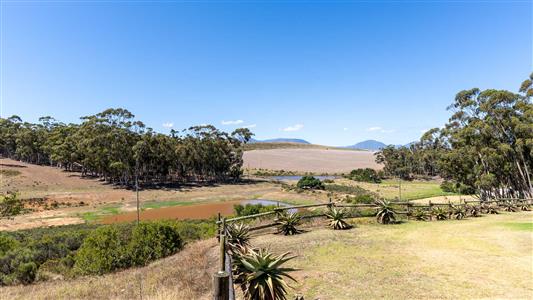 False - Farm For Sale in Riversdale Rural, Riversdale, Western Cape - M126214