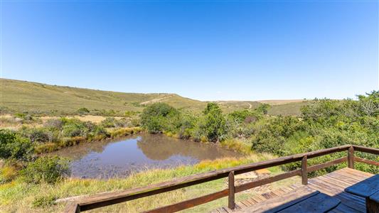 False - Farm For Sale in Riversdale Rural, Riversdale, Western Cape - M126214