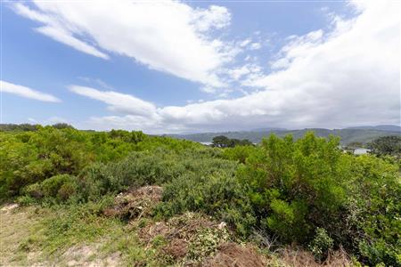 False - Vacant Land For Sale in Kleinkrantz, Wilderness, Western Cape - M126306