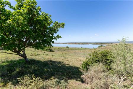 False - Farm For Sale in Mossel Bay Rural, Mossel Bay, Western Cape - M126402