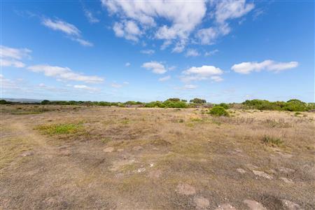 False - Farm Sold in Riversdale Rural, Riversdale, Western Cape - M126405