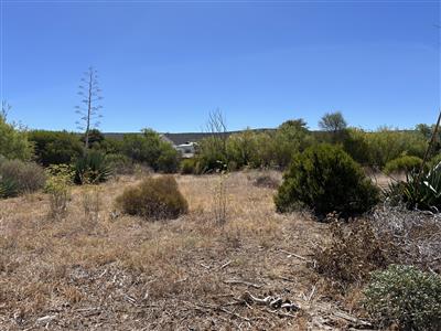 Vacant Land For Sale in McGregor, Western Cape - M126332