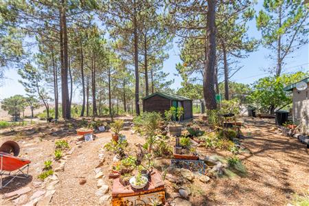 False - House For Sale in Napier, Western Cape - M126480