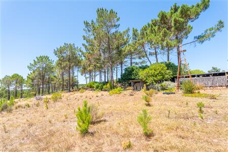 False - House For Sale in Napier, Western Cape - M126480