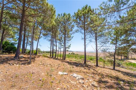 False - House For Sale in Napier, Western Cape - M126480