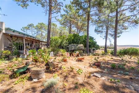 False - House For Sale in Napier, Western Cape - M126480