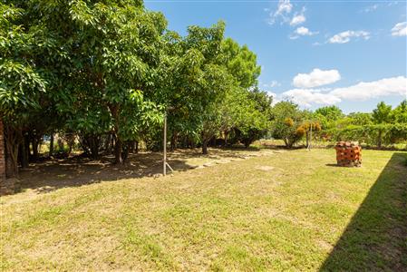 False - House For Sale in Franisvalle, Somerset East, Eastern Cape - M126519