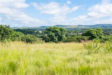 False - Vacant Land For Sale in Howick West, Howick, KwaZulu Natal - M126543