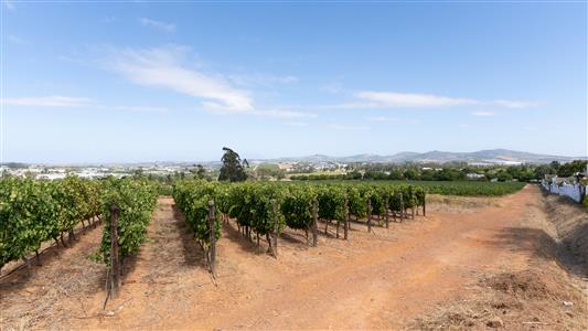 False - Vacant Land For Sale in Le Hermitage, Stellenbosch, Western Cape - M126549